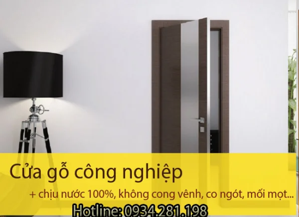 Cửa gỗ ở Hải Phòng-Các phong cách cửa hiện đại, mới mẻ tại Hải Phòng.