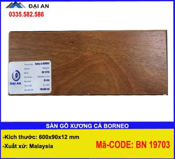 san-go-xuong-xa-borneo-bn-19703-o-hai-phong